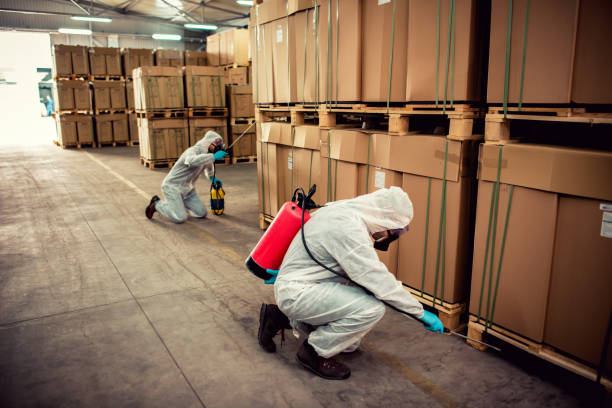Best Best Pest Control Companies  in San Buenaventura, CA