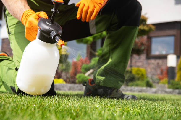 Best Pest Removal Services  in San Buenaventura, CA