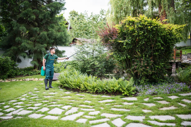 Best Pest Control Near Me  in San Buenaventura, CA