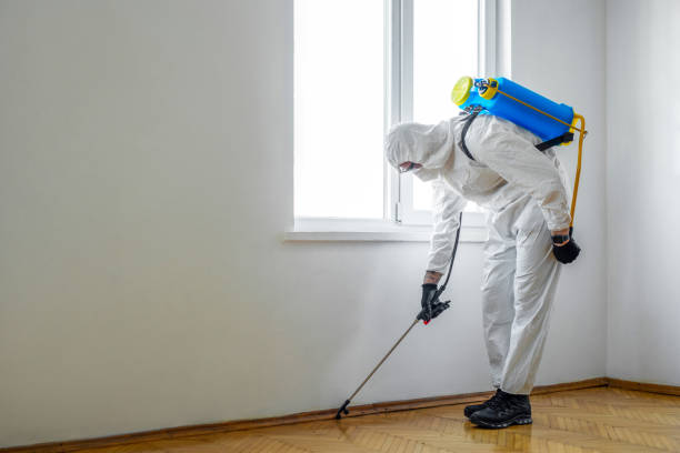 Best Pest Control Near Me in San Buenaventura, CA