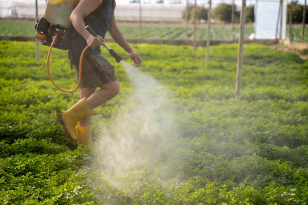  San Buenaventura, CA Pest Control Pros