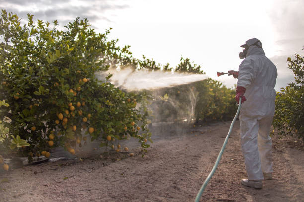 Best Pest Prevention Services  in San Buenaventura, CA