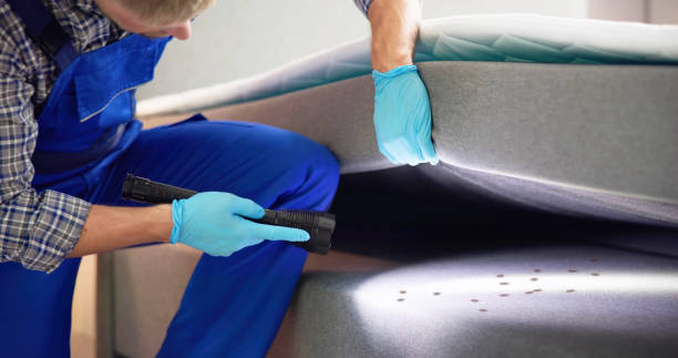 Best Exterminator Services  in San Buenaventura, CA