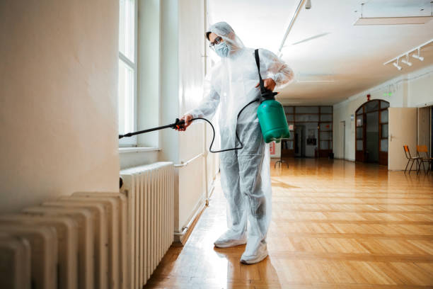 Best Pest Control for Homes  in San Buenaventura, CA
