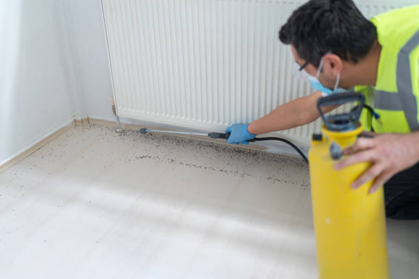 Best Emergency Pest Control  in San Buenaventura, CA